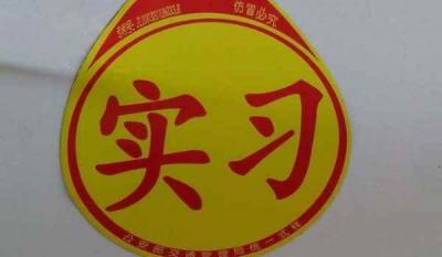 刚拿驾驶证有多少分