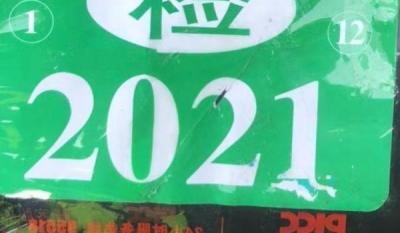 领年检标志需要带什么