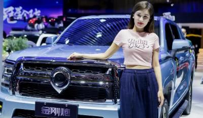 长城金刚炮皮卡2022款价格 2022款金刚炮售价9万一台